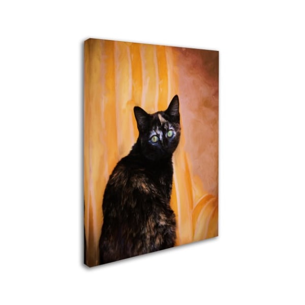 Jai Johnson 'Royal Kitten' Canvas Art,18x24